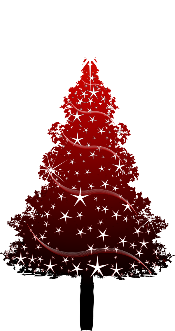 Transparent Christmas Tree Christmas Red Fir Pine Family for Christmas