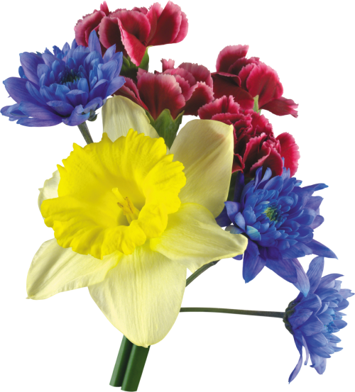 Transparent Floral Design Flower Cut Flowers Yellow for Easter
