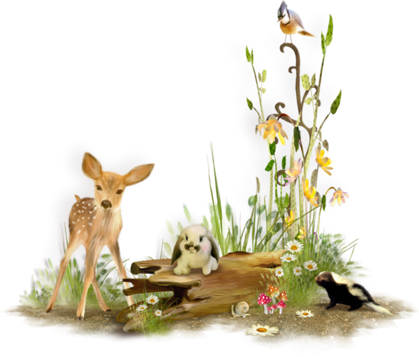 Transparent Friendship Jango Inc 2016 Wildlife Flora for Easter