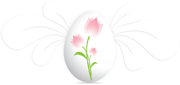 Transparent Vase Closeup Easter Flower White for Easter