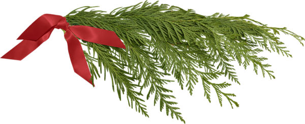 Transparent Fir Christmas Ornament Christmas Tree Tree Pine Family for Christmas