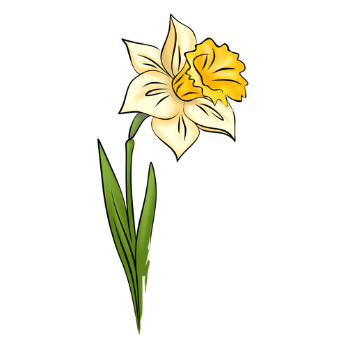 Transparent Ipad Narcissus Daffodil Plant Flora for Easter