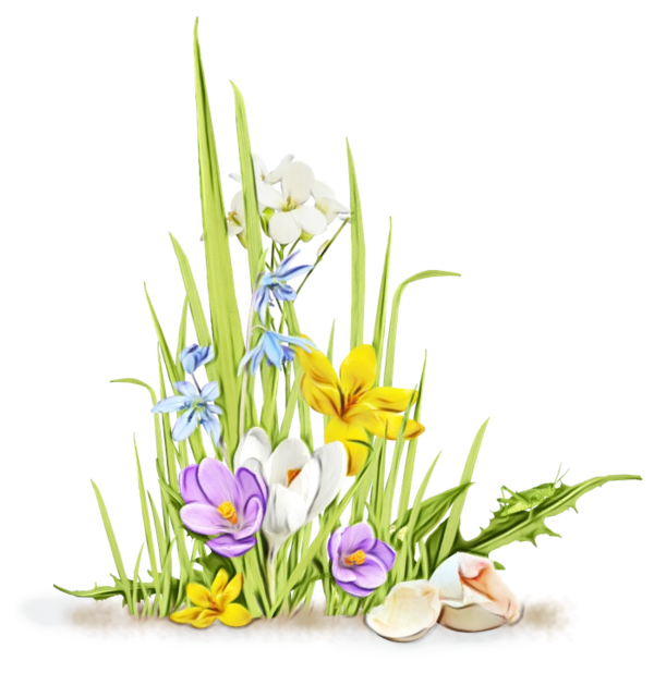 Transparent Flower Crocus Desktop Wallpaper Plant for Easter