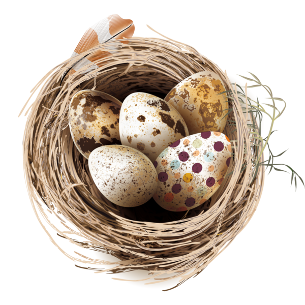 Transparent Quail Bird Quail Eggs Gift Basket Bird Nest for Easter