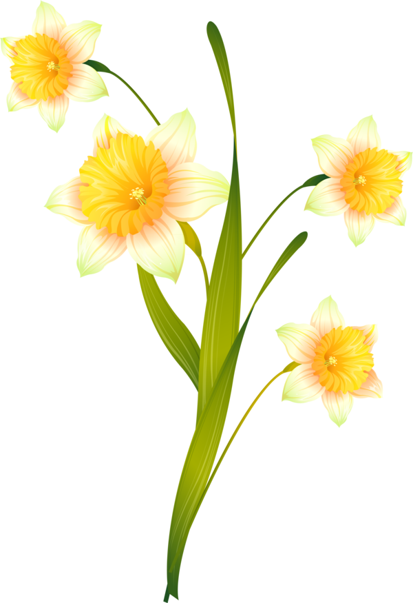 Transparent Daffodil Cut Flowers Flower Yellow for Easter