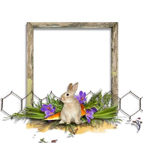 Transparent Picture Frames Cadre D Entreprise Bordiura Picture Frame Flower for Easter