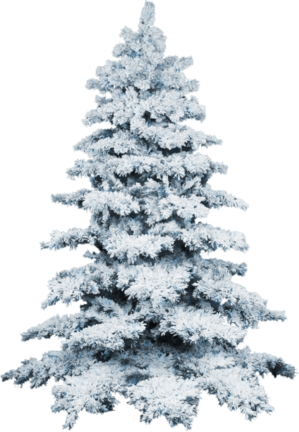 Transparent Tree Snow Christmas Tree Fir Pine Family for Christmas