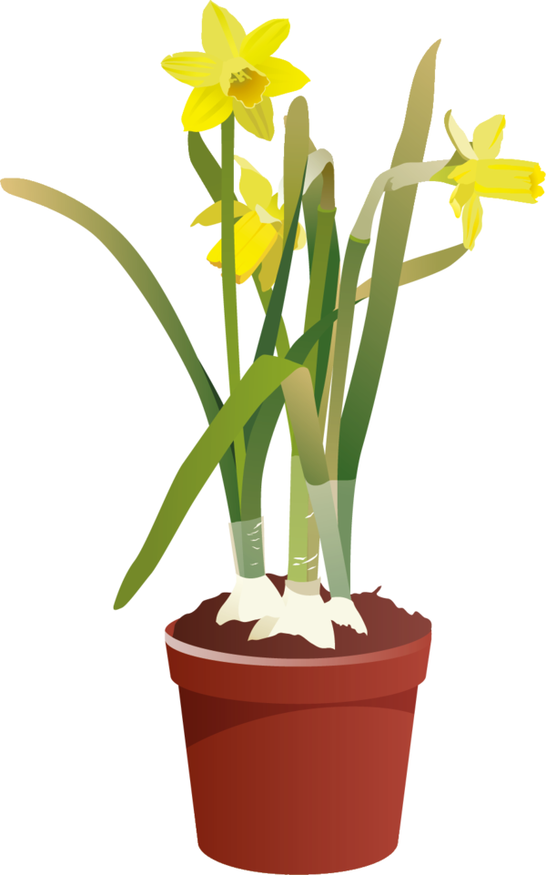 Transparent Garden Daffodil Gardening Flower Plant for Easter
