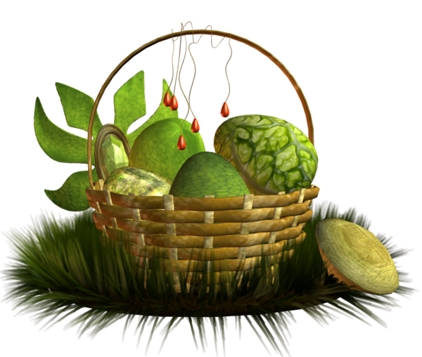 Transparent Food Fruit Flowerpot Plant Gift Basket for Easter