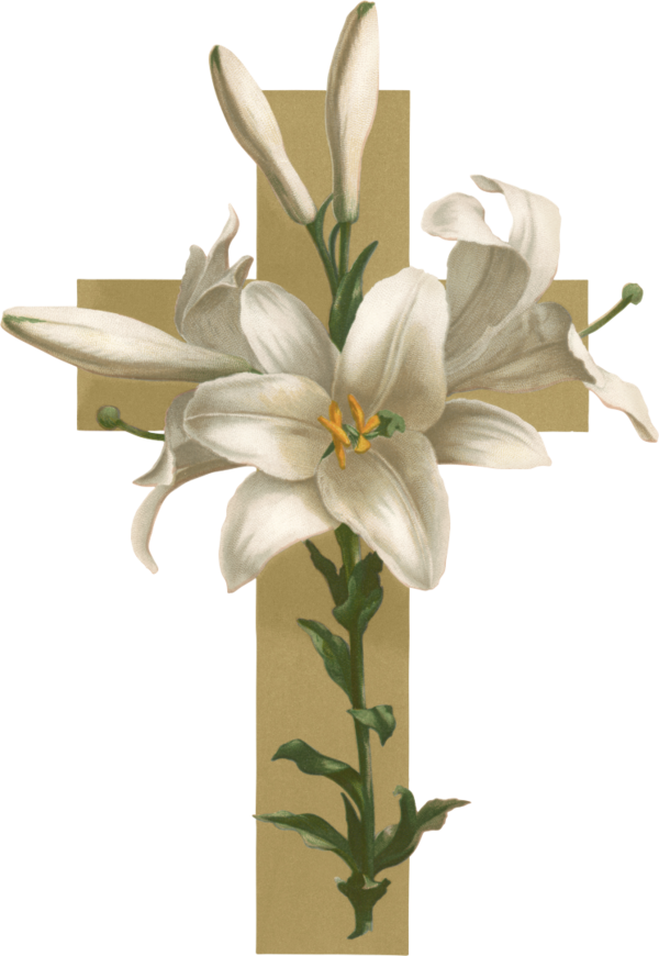 Transparent Easter Lily Christian Cross Flower Plant for Easter