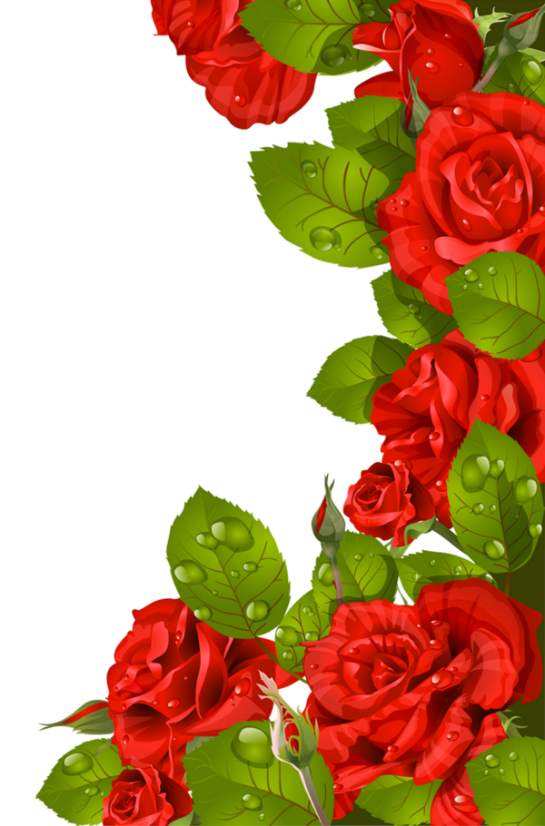 Transparent Valentines Day Rose Greeting Card Plant Flower for Mothers Day