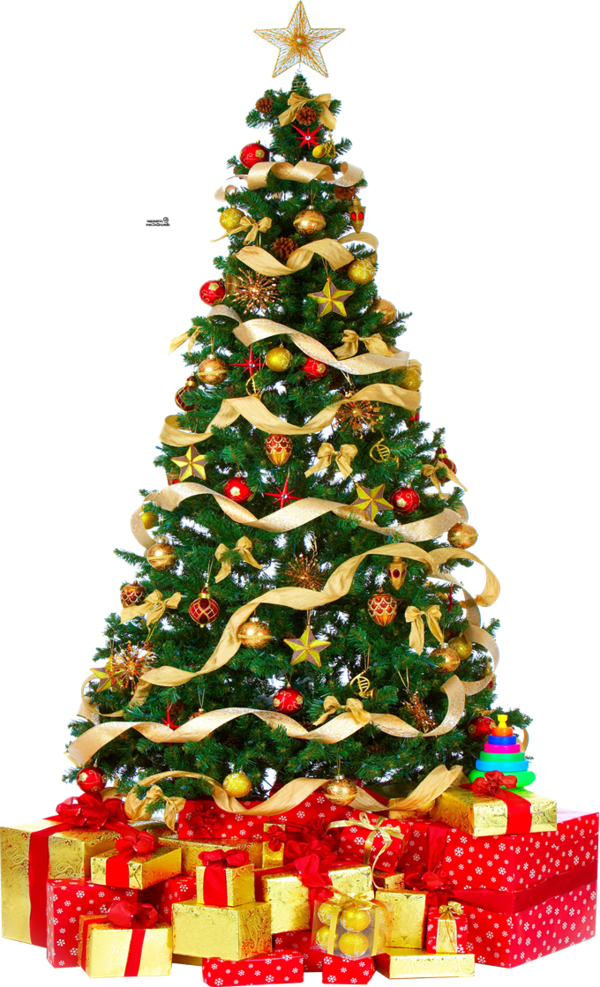 Transparent Christmas Tree Christmas Tree Fir Evergreen for Christmas