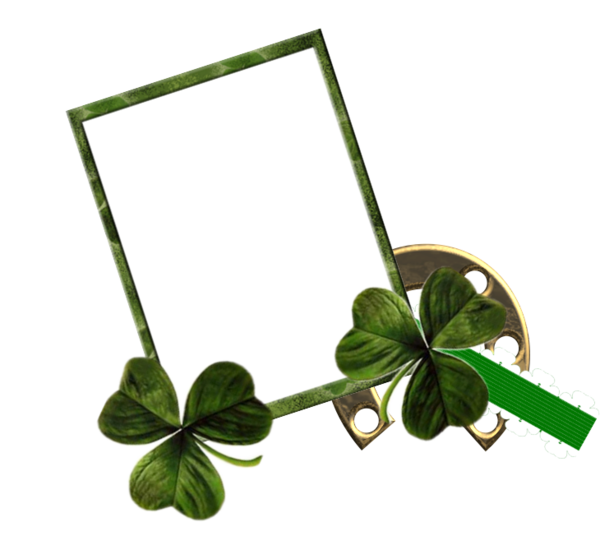 Transparent Saint Patrick S Day Patrick Saint Plant Flower for St Patricks Day