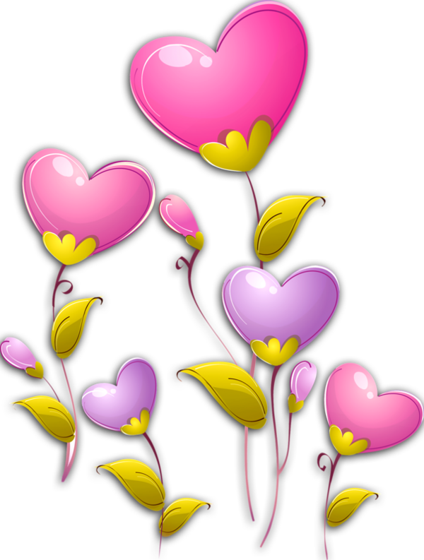 Transparent Heart Flower Valentine S Day Pink for Valentines Day