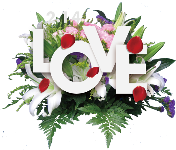 Transparent Love Romance Falling In Love Plant Flower for Valentines Day