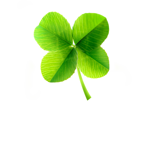 Transparent Logo Company Business Shamrock Leaf for St Patricks Day
