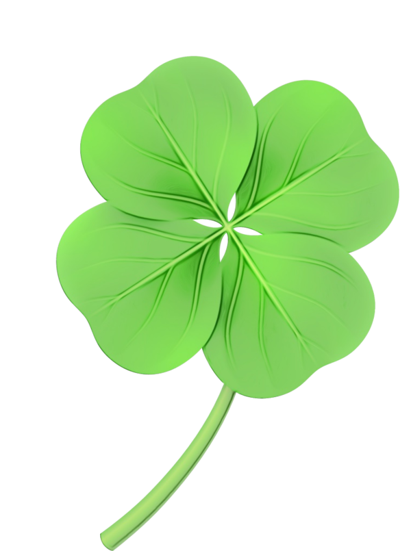 Transparent Fourleaf Clover Shamrock White Clover Leaf Green for St Patricks Day