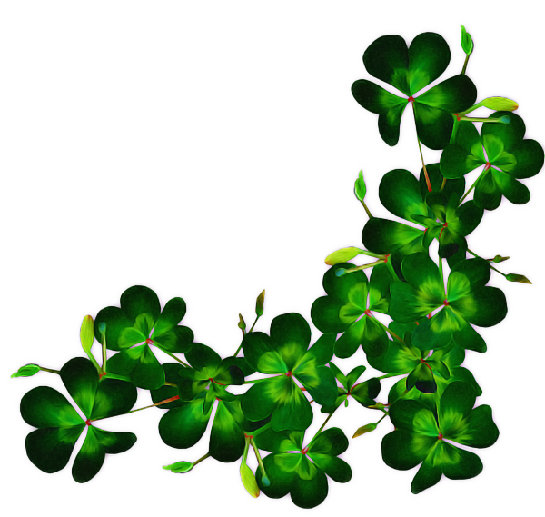 Transparent Leaf Fourleaf Clover Clover Green for St Patricks Day