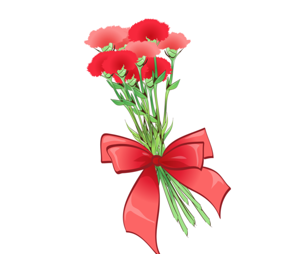 Transparent Carnation Computer Graphics Mothers Day Plant Flower for Mothers Day