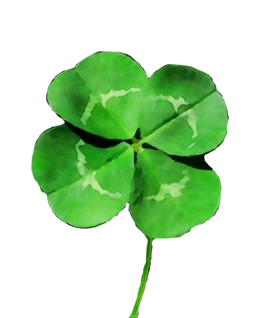 Transparent Fourleaf Clover Clover Shamrock Leaf Green for St Patricks Day
