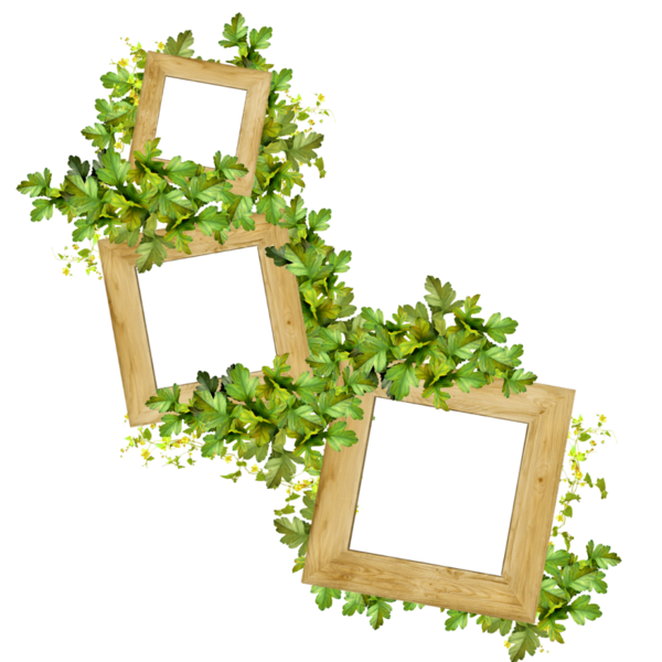 Transparent Saint Patrick S Day Patrick Picture Frames Picture Frame Flower for St Patricks Day