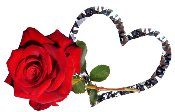 Transparent Rose Heart Red for Valentines Day