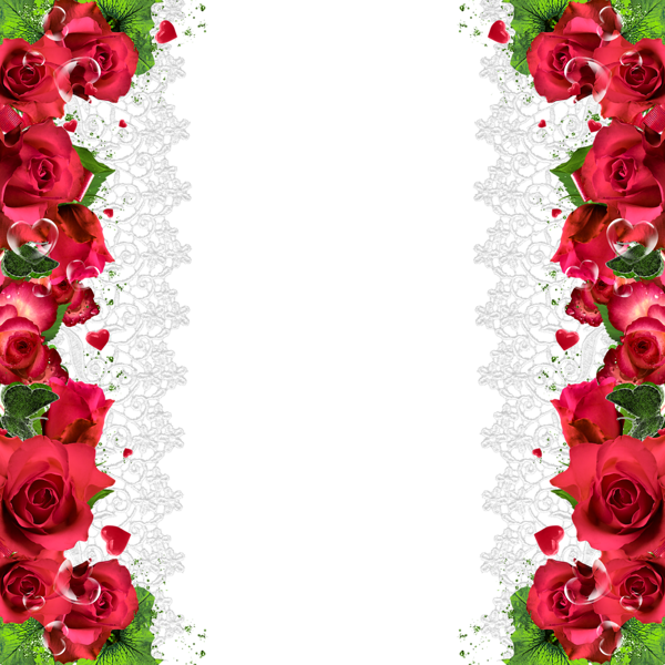 Transparent Rose Flower Red Picture Frame Flora for Valentines Day