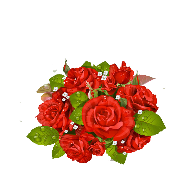 Transparent Flower Bouquet Rose Red Petal Plant for Valentines Day
