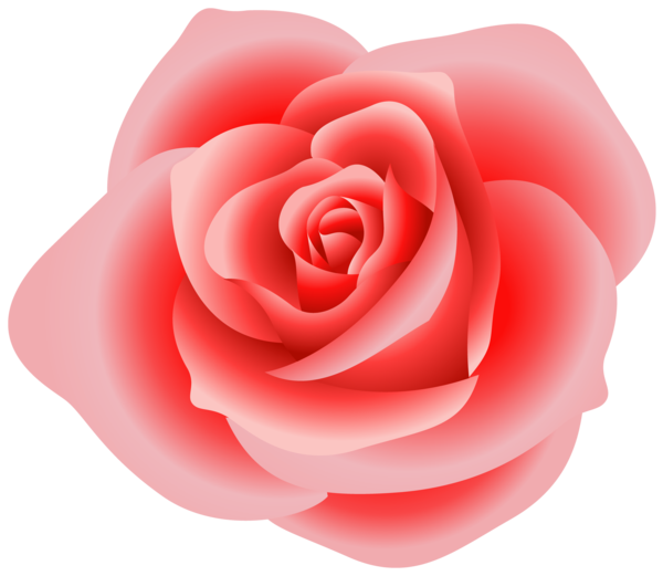 Transparent Rose Website Blog Pink Heart for Valentines Day