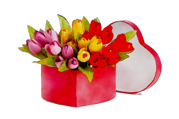Transparent Gift Flower Bouquet Tulip Flower Flowerpot for Valentines Day