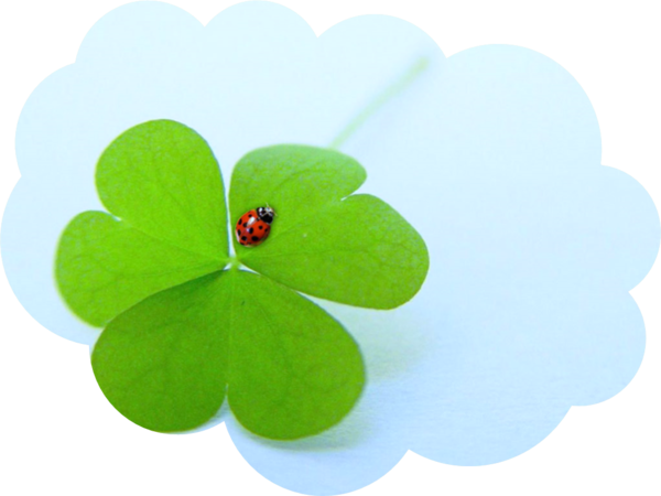 Transparent Fourleaf Clover Leaf Clover Shamrock for St Patricks Day