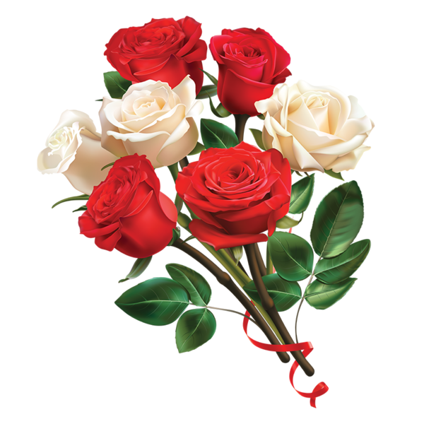 Transparent Garden Roses Paper Red Petal Plant for Valentines Day