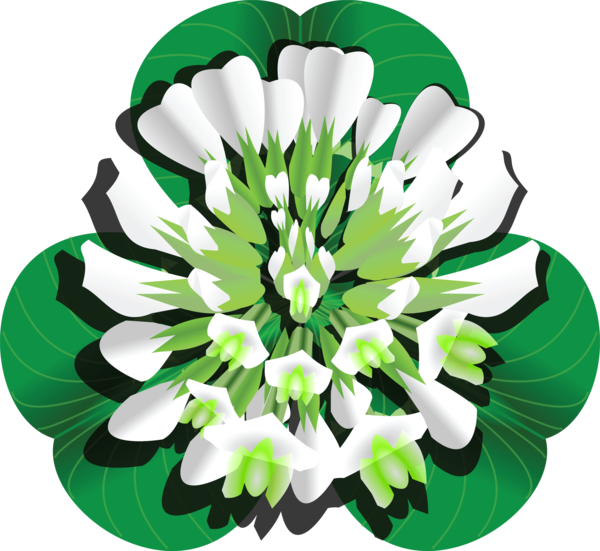 Transparent Fourleaf Clover Shamrock White Clover Plant Flower for St Patricks Day