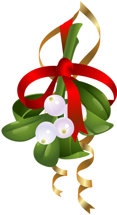 Transparent Mistletoe Phoradendron Tomentosum Christmas Christmas Ornament Flower for Christmas