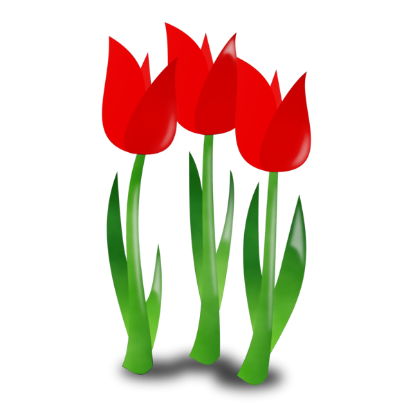 Transparent Mothers Day Mother Flower Tulip for Mothers Day