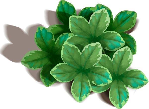 Transparent Leaf Sticker Dots Per Inch Shamrock for St Patricks Day