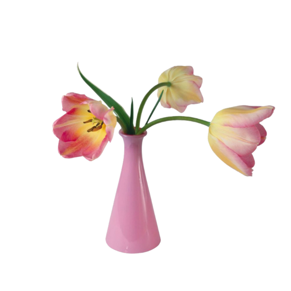 Transparent Valentines Day Flower Vase Pink Plant for Valentines Day