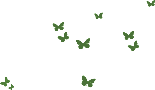 Transparent Butterfly Green Natural Environment Plant Flora for St Patricks Day