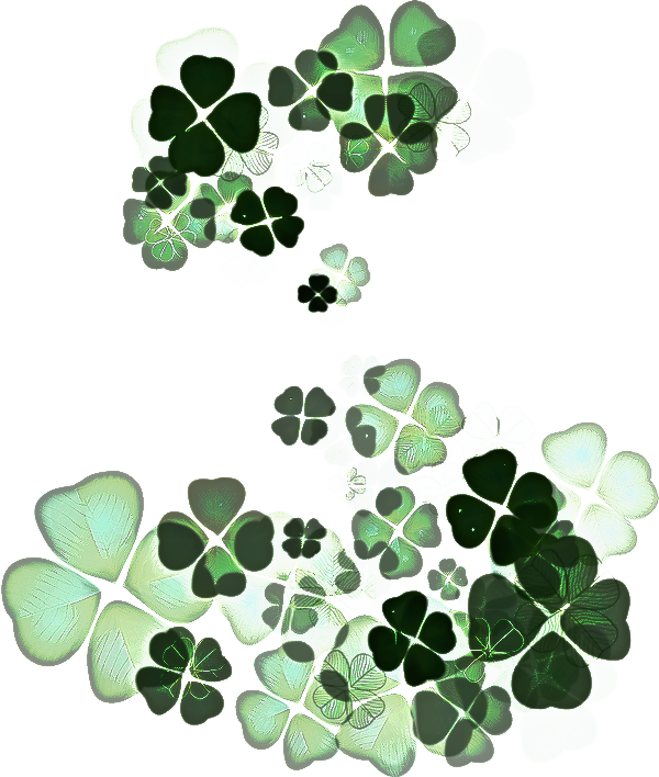 Transparent Fourleaf Clover Clover Leaf Green for St Patricks Day