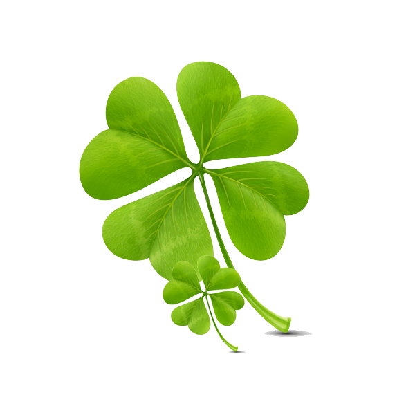 Transparent Clover Icon Design Model Sheet Plant Leaf for St Patricks Day