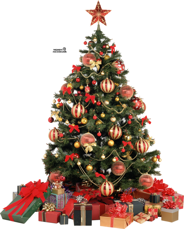 Transparent Christmas Tree Christmas Tree Fir Pine Family for Christmas