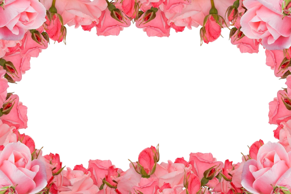 Transparent Hungry Jpeg Love Valentines Day Pink Petal for Valentines Day