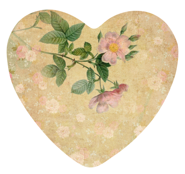 Transparent Valentine S Day Still Life Paper Petal Flower for Valentines Day