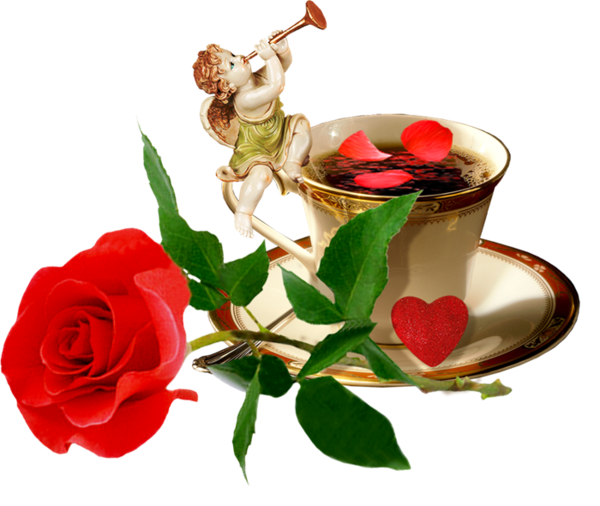 Transparent Love Turkish Coffee Coffee Flowerpot Plant for Valentines Day