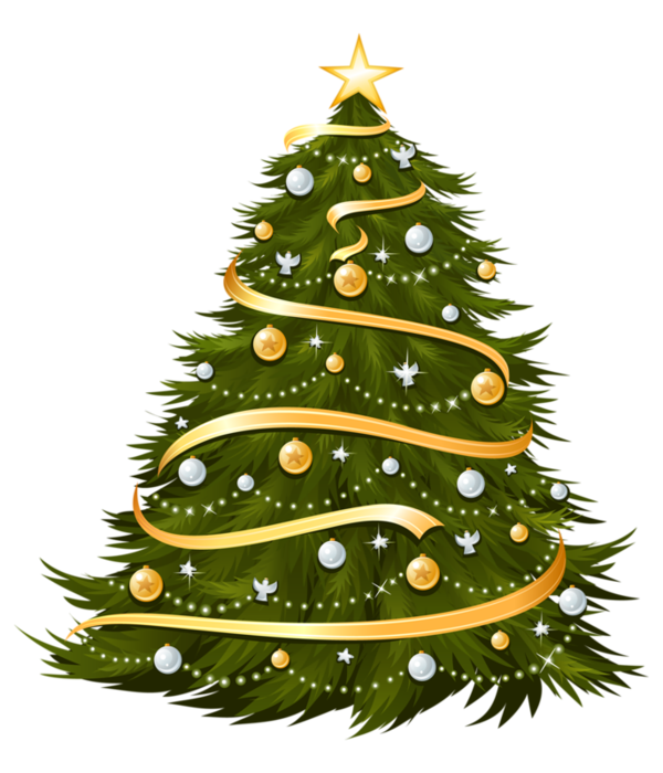 Transparent Christmas Tree Christmas Christmas Lights Fir Pine Family for Christmas