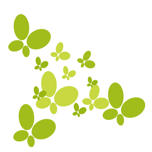 Transparent Teacher Kindergarten Academic Term Plant Flora for St Patricks Day