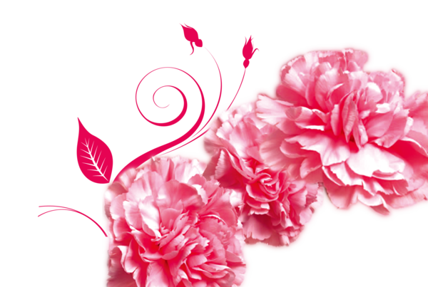 Transparent Mothers Day Gratitude Advertising Pink Flower for Mothers Day