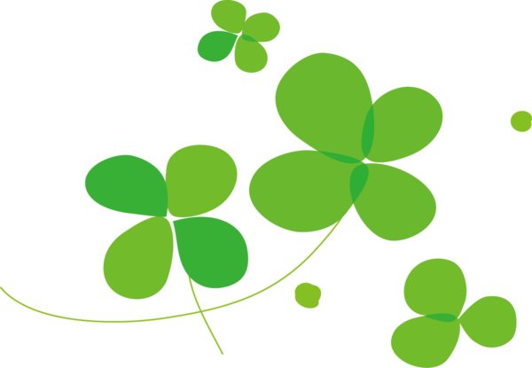 Transparent Fourleaf Clover Fukuyama Child Green Leaf for St Patricks Day