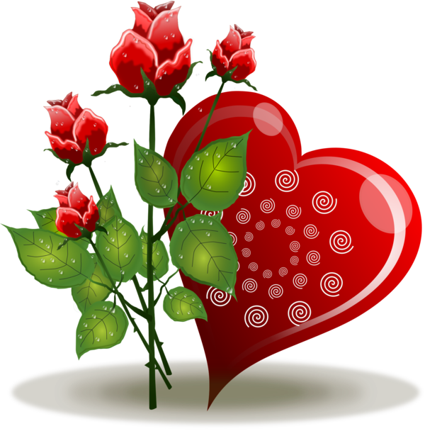 Transparent Heart Rose Flower Plant for Valentines Day