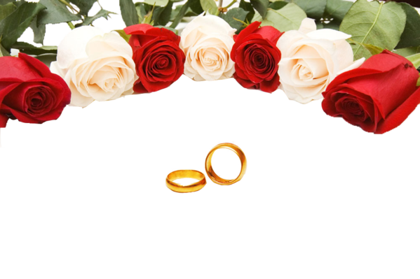 Transparent Wedding Rose Wedding Ring Petal Plant for Valentines Day